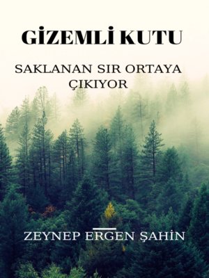 cover image of Gizemli Kutu